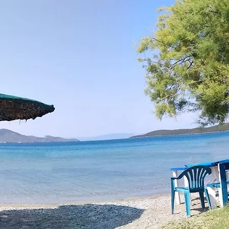 بيت للعطل Sea View