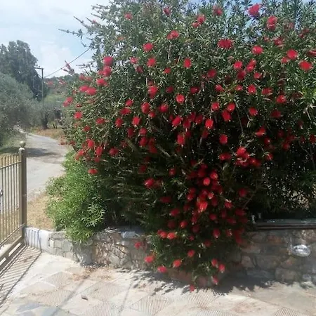 بيت للعطل Sea View