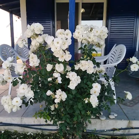 Sea View بيت للعطل *