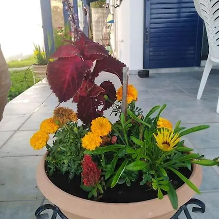 Sea View بيت للعطل *